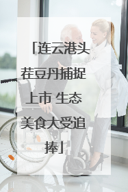 连云港头茬豆丹捕捉上市 生态美食大受追捧