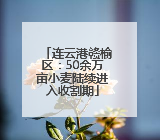 连云港赣榆区：50余万亩小麦陆续进入收割期