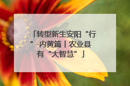 转型新生安阳“行”·内黄篇丨农业县有“大智慧”