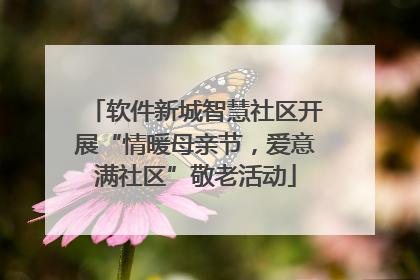 软件新城智慧社区开展“情暖母亲节，爱意满社区”敬老活动