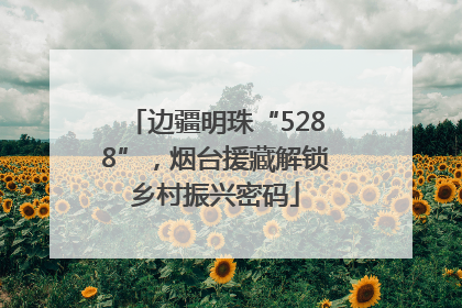 边疆明珠“5288”，烟台援藏解锁乡村振兴密码