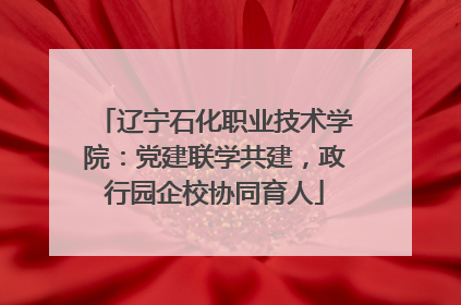 辽宁石化职业技术学院：党建联学共建，政行园企校协同育人