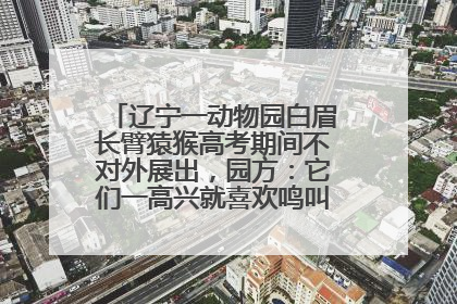 辽宁一动物园白眉长臂猿猴高考期间不对外展出，园方：它们一高兴就喜欢鸣叫，怕影响考试