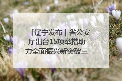 辽宁发布｜省公安厅出台15项举措助力全面振兴新突破三年行动决胜之战