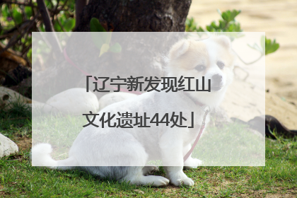 辽宁新发现红山文化遗址44处