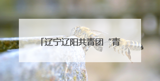 辽宁辽阳共青团“青暖童心 古韵承今”青少年观剧活动举办