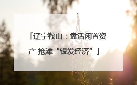 辽宁鞍山：盘活闲置资产 抢滩“银发经济”