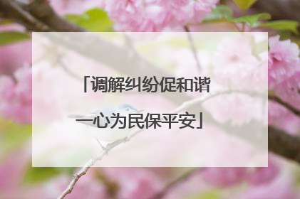 调解纠纷促和谐 一心为民保平安