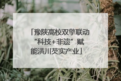 豫陕高校双擎联动 “科技+非遗”赋能潢川芡实产业