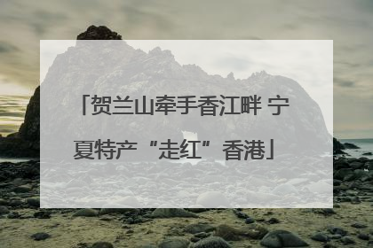 贺兰山牵手香江畔 宁夏特产“走红”香港