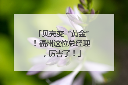 贝壳变“黄金”！福州这位总经理，厉害了！