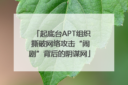 起底台APT组织 撕破网络攻击“闹剧”背后的阴谋网