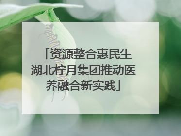 资源整合惠民生 湖北柠月集团推动医养融合新实践