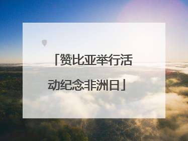赞比亚举行活动纪念非洲日