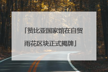 赞比亚国家馆在自贸雨花区块正式揭牌