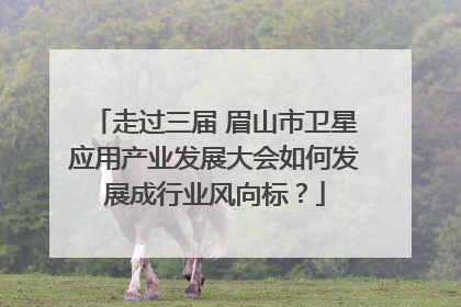 走过三届 眉山市卫星应用产业发展大会如何发展成行业风向标？
