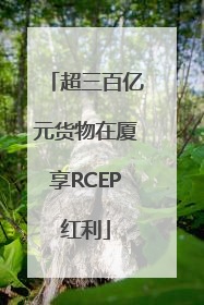 超三百亿元货物在厦享RCEP红利
