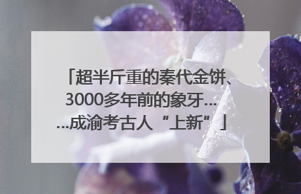 超半斤重的秦代金饼、3000多年前的象牙……成渝考古人“上新”