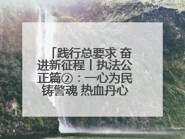 践行总要求 奋进新征程丨执法公正篇②：一心为民铸警魂 热血丹心守平安