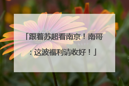 跟着苏超看南京！南哥：这波福利请收好！