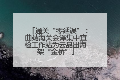 通关“零延误”：曲靖海关会泽集中查检工作站为云品出海架“金桥”