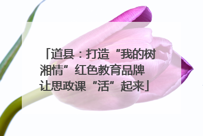 道县：打造“我的树湘情”红色教育品牌 让思政课“活”起来