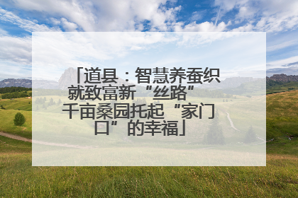 道县：智慧养蚕织就致富新“丝路” 千亩桑园托起“家门口”的幸福