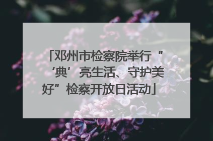 邓州市检察院举行“‘典’亮生活、守护美好”检察开放日活动
