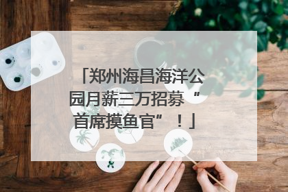 郑州海昌海洋公园月薪三万招募“首席摸鱼官”！