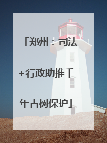 郑州：司法+行政助推千年古树保护