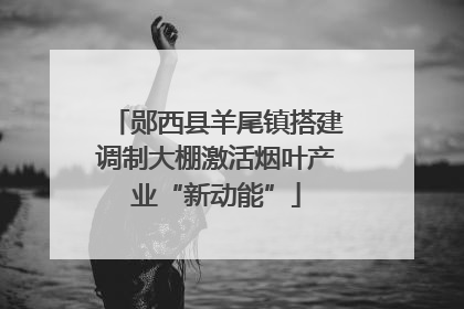 郧西县羊尾镇搭建调制大棚激活烟叶产业“新动能”