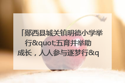 郧西县城关镇明德小学举行"五育并举助成长，人人参与逐梦行"庆六一活动