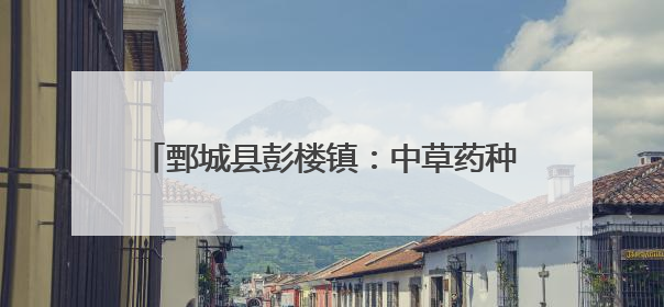 鄄城县彭楼镇：中草药种植打造致富“金钥匙”