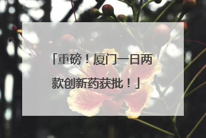 重磅！厦门一日两款创新药获批！