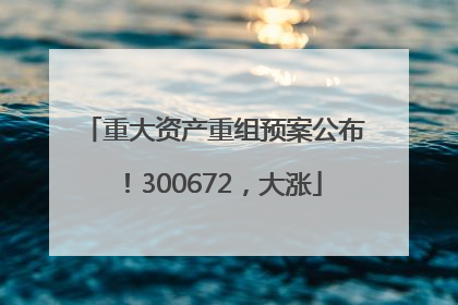 重大资产重组预案公布！300672，大涨