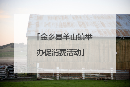 金乡县羊山镇举办促消费活动