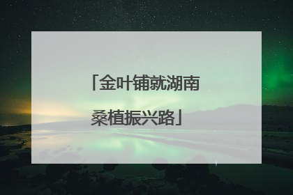 金叶铺就湖南桑植振兴路