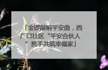 金锣敲响平安曲，西厂口社区“平安合伙人”携手共筑幸福家