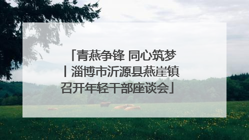 青燕争锋 同心筑梦丨淄博市沂源县燕崖镇召开年轻干部座谈会