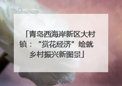 青岛西海岸新区大村镇：“赏花经济”绘就乡村振兴新图景