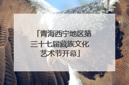 青海西宁地区第三十七届藏族文化艺术节开幕