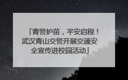 青警护苗，平安启程！武汉青山交警开展交通安全宣传进校园活动