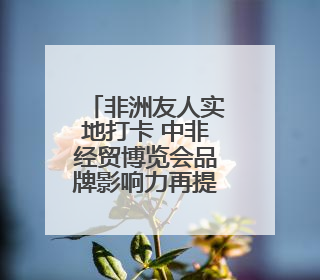 非洲友人实地打卡 中非经贸博览会品牌影响力再提升