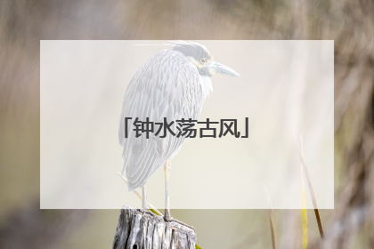 钟水荡古风