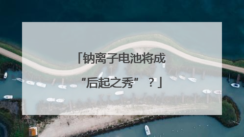 钠离子电池将成“后起之秀”？