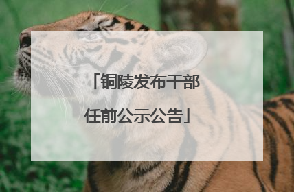 铜陵发布干部任前公示公告