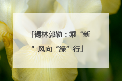 锡林郭勒：乘“新”风向“绿”行
