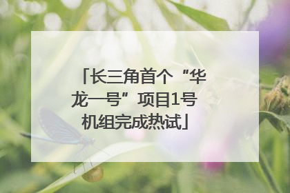 长三角首个“华龙一号”项目1号机组完成热试