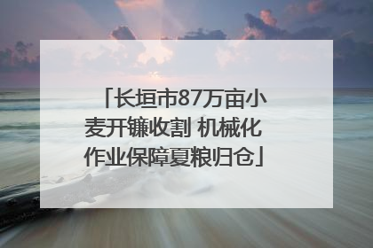 长垣市87万亩小麦开镰收割 机械化作业保障夏粮归仓