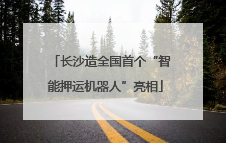 长沙造全国首个“智能押运机器人”亮相